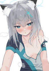 Rule 34 | 1girl, animal ear fluff, animal ears, bare shoulders, bike jersey, blue archive, blue eyes, blush, clothes pull, cross hair ornament, cycling uniform, eyes visible through hair, grey hair, hair ornament, highres, medium hair, mismatched pupils, navel, no bra, open clothes, partially undressed, shiroko (blue archive), shiroko (cycling) (blue archive), solo, steaming body, sweat, nervous sweating, tsumayouji (tumayog), white background, wolf ears, wolf girl, zipper
