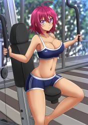 Rule 34 | 1girl, :o, ahoge, bare arms, bare shoulders, blue shorts, blurry, blurry background, blush, bokutachi wa benkyou ga dekinai, breasts, cleavage, collarbone, commentary, depth of field, english commentary, exercising, exercise machine, groin, hair between eyes, highres, indoors, kazenokaze, large breasts, looking at viewer, navel, parted lips, pink eyes, pink hair, purple hair, short shorts, shorts, sitting, solo, sports bra, sweat, takemoto uruka, tomboy