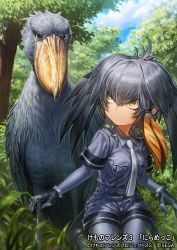 Rule 34 | 1girl, animal, belt, bird, bird tail, black gloves, blouse, bodystocking, breast pocket, closed mouth, collared shirt, creature and personification, day, fingerless gloves, gloves, grass, green eyes, grey hair, grey neckwear, grey shirt, grey shorts, hair between eyes, head wings, kemono friends, kemono friends 3, kemono friends 3: planet tours, kneeling, lain, layered sleeves, long hair, long sleeves, looking at another, multicolored hair, necktie, orange hair, outdoors, pocket, shirt, shoebill, shoebill (kemono friends), short over long sleeves, short sleeves, shorts, sidelocks, tail, tree, watermark, wings