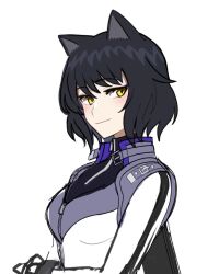 Rule 34 | 1girl, animal ears, black hair, blake belladonna, breasts, cat ears, catsuit, closed mouth, cropped torso, leather suit, light smile, looking at viewer, medium breasts, noratanukimaru, pale skin, rwby, short hair, simple background, solo, tailcoat, white background, white tailcoat, yellow eyes, zipper
