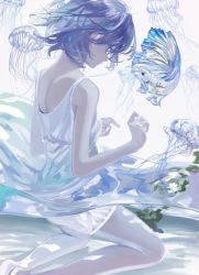 Rule 34 | 1girl, aspara, blue eyes, blue hair, blue theme, closed mouth, dress, fish, from side, hands up, jellyfish, kneeling, original, short hair, siamese fighting fish, solo, white dress