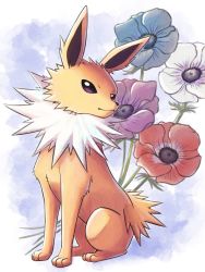 Rule 34 | absurdres, anemone (flower), animal focus, blue flower, closed mouth, commentary request, creatures (company), flower, game freak, gen 1 pokemon, highres, jolteon, luna mokamoka, nintendo, no humans, pokemon, pokemon (creature), purple flower, red flower, sitting, solo, toes, white flower, yellow fur