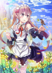 Rule 34 | 10s, 1girl, basket, bird, brown eyes, brown hair, building, carrying, cloud, day, detached sleeves, elf, feathers, flower, himonoata, long hair, looking at viewer, maid, maid headdress, myucel foalan, outbreak company, outdoors, parted lips, petals, pointy ears, sky, smile, solo, sparrow, td, twintails