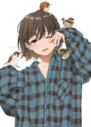 Rule 34 | 1girl, animal, animal on head, bird, bird on head, black eyes, brown hair, looking at viewer, mattaku mousuke, on head, one eye closed, open mouth, original, oversized clothes, plaid, plaid shirt, shirt, short hair, sleepy, sleeves past fingers, sleeves past wrists, sparrow, twitter username, upper body, watermark, white background