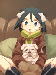 Rule 34 | 10s, 1girl, :o, animal, animal ears, black hair, blue eyes, blush, brave witches, bulldog, couch, dog, dog ears, highres, kanno naoe, kinosaki (green patio), long sleeves, open mouth, scarf, short hair, sitting, solo, strike witches, world witches series