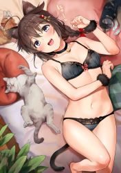 Rule 34 | 1girl, :d, ahoge, animal ears, bare legs, barefoot, bell, black bra, black panties, blue eyes, blush, bow, bra, braid, breasts, brown hair, cat, cat ears, cat tail, choker, cleavage, fang, hair bow, highres, jingle bell, kantai collection, kemonomimi mode, lace, lace-trimmed bra, lace-trimmed panties, lace trim, lying, medium hair, navel, neck bell, on back, open mouth, panties, paw pose, shigure (kancolle), shigure kai ni (kancolle), small breasts, smile, solo, tail, umakuchi shouyu, underwear, underwear only, wrist cuffs