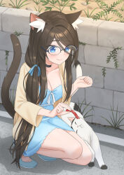 Rule 34 | 1girl, aina (mao lian), animal ear fluff, animal ears, bare legs, blue dress, blue eyes, blush, breasts, cat, cat ears, cat tail, cleavage, closed mouth, dress, front-tie top, full body, glasses, hair between eyes, highres, long hair, mao lian (nekokao), medium breasts, nuzzle, original, outdoors, short dress, smile, squatting, tail, very long hair