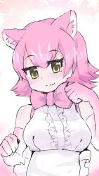 Rule 34 | 10s, 1girl, apron, bare shoulders, blush, bow, bowtie, gloves, highres, kemono friends, multicolored hair, panther ears, peach panther (kemono friends), pink hair, solo, tatsuno newo, traditional bowtie, two-tone hair, upper body, white hair, yellow eyes