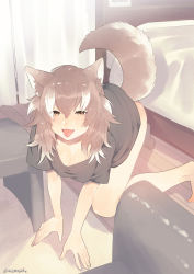 Rule 34 | 10s, 1girl, :d, :p, absurdres, all fours, animal ears, artist name, asano (asamusuko), barefoot, bed, black shirt, blush, bottomless, breasts, brown eyes, brown hair, cleavage, curtains, eyes visible through hair, fang, hair between eyes, highres, indoors, japanese wolf (kemono friends), kemono friends, long hair, looking at viewer, medium breasts, multicolored hair, open mouth, pet play, shirt, short sleeves, smile, solo, t-shirt, tail, tongue, tongue out, twitter username, two-tone hair, white hair, wolf ears, wolf tail, wooden floor