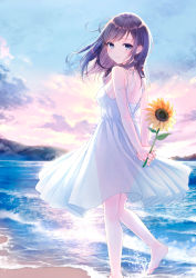Rule 34 | 1girl, bare arms, bare shoulders, barefoot, blue eyes, blue sky, blush, breasts, brown hair, closed mouth, cloud, cloudy sky, commentary request, dress, floating hair, flower, highres, holding, holding flower, kashiwabara en, long hair, looking at viewer, looking to the side, original, outdoors, see-through, see-through silhouette, sky, small breasts, smile, soles, solo, standing, standing on one leg, sundress, sunflower, sunrise, water, waves, white dress