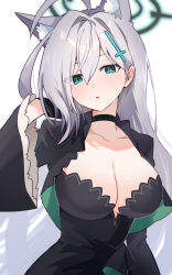 Rule 34 | 1girl, ahoge, animal ear fluff, animal ears, black choker, black dress, blue archive, breasts, choker, cleavage, closed mouth, commentary request, dress, enipa 28, green eyes, green halo, grey hair, halo, hand up, highres, large breasts, long hair, long sleeves, looking at viewer, mismatched pupils, parted lips, shiroko (blue archive), shiroko terror (blue archive), simple background, solo, upper body, white background, wide sleeves, wolf ears