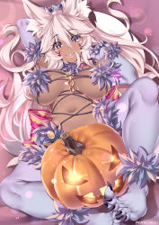 Rule 34 | 1girl, animal ear fluff, animal ears, arm behind head, aurora (kanachirou), breasts, breasts apart, claws, cosplay, dark-skinned female, dark skin, elbow gloves, eyes visible through hair, facial mark, fate/grand order, fate (series), feet together, fox ears, full body, fur-trimmed gloves, fur-trimmed legwear, fur collar, fur trim, gloves, hair between eyes, halloween costume, highres, jack-o&#039;-lantern, kanachirou, knees apart feet together, lace, lace-trimmed legwear, lace trim, large breasts, long hair, looking at viewer, lying, mash kyrielight, mash kyrielight (dangerous beast), mash kyrielight (dangerous beast) (cosplay), navel, o-ring, o-ring top, official alternate costume, on back, original, pumpkin, purple eyes, purple gloves, purple thighhighs, revealing clothes, smile, solo, spread legs, thighhighs, twitter username, very long hair, white hair