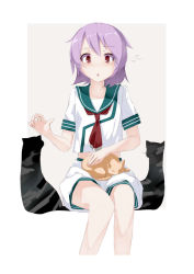 Rule 34 | 10s, 1girl, animal, animal on lap, bad id, bad pixiv id, cat, cat day, cat on lap, commentary request, flying sweatdrops, gareki, kantai collection, neckerchief, on lap, open mouth, petting, purple hair, red eyes, school uniform, serafuku, shirt, short hair, short sleeves, shorts, sitting, solo, tama (kancolle)