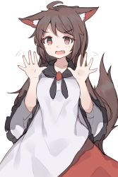 Rule 34 | 1girl, ahoge, animal ear fluff, animal ears, brown eyes, brown hair, commentary, dress, fang, frilled sleeves, frills, hands up, highres, imaizumi kagerou, long hair, looking at viewer, motion lines, open mouth, shone, simple background, solo, tail, touhou, white background, wide sleeves, wolf ears, wolf tail