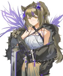 Rule 34 | 1girl, 90 (37032), absurdres, animal ears, arknights, bare shoulders, black coat, black gloves, brown hair, closed mouth, coat, cowboy shot, freckles, gloves, grey shirt, highres, long hair, long sleeves, looking at viewer, multicolored hair, off shoulder, official alternate costume, one side up, open clothes, open coat, orange eyes, purple hair, raccoon ears, robin (arknights), robin (gift of wild) (arknights), shirt, simple background, skirt, solo, streaked hair, two-tone hair, very long hair, white background, yellow skirt
