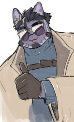 Rule 34 | 1boy, animal ears, bara, cat boy, cat ears, chest harness, facial hair, furry, furry male, gloves, goatee, harness, highres, jacket, live a hero, male focus, open clothes, open jacket, purple fur, short hair, solo, sunglasses, syukapong, tsuneaki (live a hero), unfinished