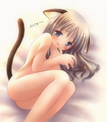 Rule 34 | 1girl, animal ears, cat ears, cat tail, completely nude, nude, solo, tail