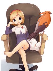 Rule 34 | 1girl, alice margatroid, alternate costume, bad id, bad twitter id, barefoot, bird, blonde hair, blue shirt, blue shorts, blush, border, chair, commentary request, cookie (touhou), creatures (company), crossed legs, crossover, fang, foot out of frame, game freak, gen 6 pokemon, hairband, head rest, highres, looking at viewer, miyako (naotsugu), nintendo, office chair, open mouth, pokemon, pokemon (creature), red hairband, shirt, short hair, shorts, simple background, sitting, stuffed animal, stuffed rabbit, stuffed toy, swivel chair, taisa (cookie), talonflame, touhou, transparent border, white background