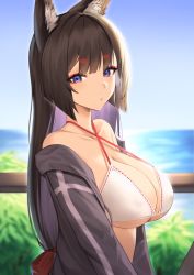 Rule 34 | 1girl, absurdres, amagi (azur lane), animal ear fluff, animal ears, azur lane, bare shoulders, bikini, black jacket, blue sky, blunt bangs, breasts, brown hair, cleavage, closed mouth, collarbone, colored inner hair, commentary, criss-cross halter, day, english commentary, eyeshadow, fox ears, from side, halterneck, highres, horizon, jacket, kitsune, kyuubi, large breasts, long sleeves, looking at viewer, looking to the side, lordol, makeup, multicolored hair, multiple tails, ocean, off shoulder, open clothes, open jacket, outdoors, purple eyes, purple hair, sky, solo, strap gap, swimsuit, tail, two-tone hair, upper body, water, white bikini
