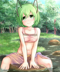 Rule 34 | 1girl, adworse, alternate costume, antennae, bikini, blue sky, blush, breasts, brown bikini, closed mouth, commentary request, day, feet out of frame, forest, grass, green eyes, green hair, hair between eyes, highres, looking at viewer, midriff, mismatched bikini, nature, navel, outdoors, pink bikini, river, rock, sarong, short hair, sitting, sky, small breasts, smile, solo, swimsuit, touhou, tree, water, wriggle nightbug
