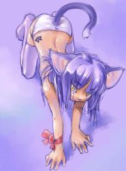 Rule 34 | 1girl, animal ears, cat ears, myuracchi (ayashii hon&#039;ya), myuratch, panties, ribbon, solo, thighhighs, topless, underwear, white panties