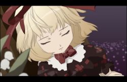 Rule 34 | 00s, 1girl, blonde hair, bow, closed eyes, female focus, flower, hair bow, letterboxed, lily of the valley, lowres, medicine melancholy, puffy sleeves, purple background, ribbon, rozen maiden, sakura (medilore), short hair, sleeping, solo, touhou