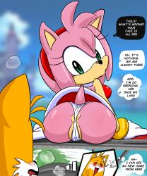 Rule 34 | 1girl, aircraft, amy rose, anus, anus peek, ass, blurry, blush, bracelet, breasts, closed mouth, covered erect nipples, dress, drooling, from behind, furry, furry female, gloves, green eyes, hairband, hedgehog ears, hedgehog girl, hedgehog tail, highres, jewelry, looking back, medium breasts, outdoors, p0k4chu, panels, panties, partially visible vulva, pink hair, red dress, red hairband, short hair, sideboob, sitting, solo focus, sonic (series), speech bubble, tails (sonic), thought bubble, underwear, white gloves, white panties