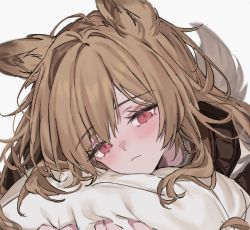 Rule 34 | 1girl, ahoge, animal ears, aogisa, arknights, blush, brown hair, ceobe (arknights), close-up, dog ears, dog girl, dog tail, looking at viewer, hugging object, pillow, pillow hug, red eyes, simple background, solo, tail, white background