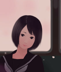 Rule 34 | 1girl, black eyes, black hair, ichikawa, school uniform, serafuku, short hair, solo, train, train interior