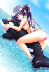 Rule 34 | 1girl, ass, bikini, blue hair, breast press, breasts, cloud, day, dutch angle, highres, inflatable dolphin, inflatable orca, inflatable raft, inflatable toy, inflatable whale, long hair, looking at viewer, matra milan, medium breasts, noihara himari, ocean, official art, omamori himari, outdoors, pink bikini, purple eyes, sky, solo, swimsuit, twintails, underboob, very long hair, water, whale