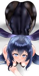 Rule 34 | 1girl, :3, absurdres, all fours, animal ears, ass, azur lane, black leotard, black pantyhose, blue eyes, blue hair, breasts, cleavage, dinsoreprong64, fake animal ears, fine fabric emphasis, from above, highres, leotard, looking at viewer, looking up, medium breasts, new jersey (azur lane), new jersey (exhilarating steps!) (azur lane), official alternate costume, oversized breast cup, pantyhose, playboy bunny, rabbit ears, simple background, solo, strapless, strapless leotard, white background