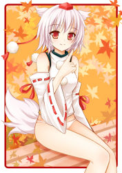 Rule 34 | 1girl, animal ears, bare legs, bare shoulders, detached sleeves, female focus, hat, inubashiri momiji, leaf, maple leaf, nikoo, no pants, panties, pointing, pointing up, sitting, solo, tail, tokin hat, touhou, underwear, white hair, white panties, wolf ears, wolf tail