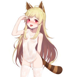 Rule 34 | 1girl, :d, :p, animal ears, arm behind back, arm up, bad id, bad pixiv id, bare arms, bare shoulders, blonde hair, blush, cameltoe, casual one-piece swimsuit, collarbone, condom, fang, fingernails, groin, highleg, highleg swimsuit, highres, holding, holding condom, kuki panda (wkdwnsgk13), long hair, looking at viewer, nose blush, one-piece swimsuit, open mouth, pussy juice, red eyes, sidelocks, simple background, smile, solo, soulworker, stella unibell, striped tail, swimsuit, tail, thighhighs, tongue, tongue out, used condom, very long hair, white background, white one-piece swimsuit, white thighhighs