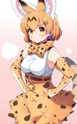 Rule 34 | 1girl, :t, animal ears, bad id, bad twitter id, bare shoulders, belt, blonde hair, bow, bowtie, commentary request, cowboy shot, elbow gloves, extra ears, gloves, hands on own hips, high-waist skirt, highres, kemono friends, looking at viewer, pouch, print bow, print bowtie, print gloves, print neckwear, print skirt, serval (kemono friends), serval print, serval tail, shirt, short hair, skirt, sleeveless, solo, tail, takom, white shirt, yellow eyes