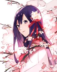 Rule 34 | 1girl, aonogura, cherry blossoms, fate/stay night, fate (series), flower, hair flower, hair ornament, hair ribbon, highres, japanese clothes, kimono, long hair, looking at viewer, looking to the side, matou sakura, purple eyes, purple hair, ribbon, smile, solo, upper body