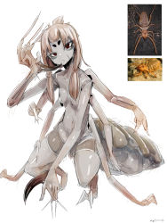 Rule 34 | 1girl, absurdres, animal feet, arm blade, arm hair, arthropod girl, artist name, bad id, bad pixiv id, breasts, brown hair, claws, closed mouth, collarbone, colored skin, completely nude, expressionless, extra arms, female focus, grey skin, hairy, half-closed eyes, hand up, head tilt, highres, long hair, looking at viewer, low twintails, monster girl, my700, navel, nipples, nude, original, personification, photo inset, red eyes, reference inset, reference photo, scar, scar on face, shiny skin, sidelocks, signature, simple background, sketch, small breasts, solifugae, solo, stomach, thighs, twintails, weapon, white background