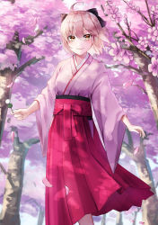 Rule 34 | 1girl, absurdres, ahoge, black bow, blonde hair, blurry, blurry background, bow, cherry blossoms, closed mouth, dango, day, fate (series), floating hair, flower, food, hair between eyes, hair bow, hakama, hakama skirt, highres, holding, japanese clothes, kimono, koha-ace, long sleeves, looking at viewer, nekoreito, okita souji (fate), okita souji (koha-ace), outdoors, petals, pink flower, pink kimono, red hakama, short hair, skirt, smile, solo, spring (season), standing, wagashi, wide sleeves, yellow eyes
