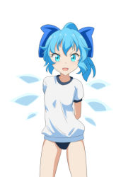 Rule 34 | 1girl, alternate costume, alternate hairstyle, arms behind back, blue eyes, blue hair, buruma, cato (monocatienus), cirno, commentary request, cowboy shot, furrowed brow, hair ribbon, looking at viewer, open mouth, ribbon, shirt, short ponytail, short sleeves, simple background, sleeve cuffs, solo, standing, t-shirt, touhou, v-shaped eyebrows, white background, white shirt, wings