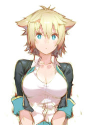 Rule 34 | 10s, 1girl, animal ears, black hair, blonde hair, blue eyes, blush, breasts, cleavage cutout, clothing cutout, gj-bu, kirara bernstein, large breasts, looking at viewer, multicolored hair, shirt, short hair, sleeves rolled up, solo, taut clothes, taut shirt, two-tone hair, v arms, yasu