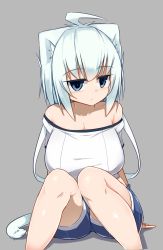 Rule 34 | 1girl, ahoge, animal ears, bare shoulders, blush, breasts, cat ears, cat girl, cat tail, expressionless, felt whitesnow, female focus, frown, highres, jitome, large breasts, looking at viewer, off-shoulder shirt, off shoulder, original, sawati, shirt, short hair with long locks, shorts, simple background, sitting, solo, tail, white hair