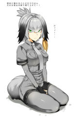 Rule 34 | 1girl, arms at sides, black gloves, breasts, closed mouth, collared jacket, fingerless gloves, folded ponytail, gloves, green eyes, grey hair, grey jacket, grey nails, grey pantyhose, grey shorts, high-waist shorts, jacket, jitome, kemono friends, kojima saya, large breasts, looking at viewer, nail polish, necktie, open mouth, pantyhose, sanpaku, seiza, shoebill (kemono friends), short shorts, shorts, side ponytail, simple background, sitting, solo, tail, white background, wing collar