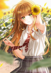 Rule 34 | 1girl, :3, arm up, armpit peek, blunt bangs, blurry, blush, brown hair, buttons, closed mouth, collared shirt, commentary, cowboy shot, day, depth of field, dress shirt, flower, green eyes, grey skirt, hair flower, hair ornament, hairclip, highres, long hair, looking at viewer, necktie, original, outdoors, petals, plaid, plaid skirt, pleated skirt, red neckwear, shirt, short sleeves, skirt, smile, striped neckwear, sunflower, sunflower hair ornament, symbol-only commentary, unjem, very long hair, white shirt, yellow flower
