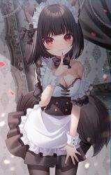 Rule 34 | 1girl, absurdres, animal ear fluff, animal ears, apron, bare shoulders, black bow, black dress, black hair, black pantyhose, blush, bow, breasts, chain, cleavage, closed mouth, commentary request, curtains, dress, frilled apron, frills, hand up, highres, index finger raised, looking at viewer, maid, maid headdress, medium breasts, mole, nail polish, original, pantyhose, petals, pleated dress, red nails, sapphire (sapphire25252), smile, solo, standing, tail, white apron, wrist cuffs
