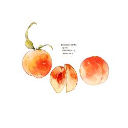 Rule 34 | commentary, cyannism, english commentary, english text, food, food focus, fruit, leaf, no humans, original, peach, peach slice, simple background, slice, white background