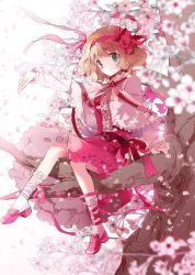 Rule 34 | 1girl, alice margatroid, alternate costume, bad id, bad twitter id, blonde hair, blue eyes, bow, capelet, cherry blossoms, cierra (ra-bit), dress, flower, frills, hairband, in tree, leg ribbon, long sleeves, outstretched arm, petals, pink dress, ribbon, sash, shoes, short hair, sitting, sitting in tree, smile, socks, solo, touhou, tree, white socks