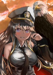 Rule 34 | 1girl, azur lane, bald eagle, belt, bird, black coat, black neckwear, blouse, blush, breasts, check commentary, cloud, cloudy sky, coat, commentary request, eagle, enterprise (azur lane), grey hair, hat, highres, large breasts, long hair, long sleeves, looking at viewer, necktie, off shoulder, peaked cap, purple eyes, rundymentos, shirt, sky, sleeveless, sleeveless shirt, smile, sunset, underbust, upper body