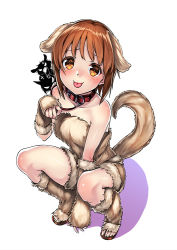 Rule 34 | 10s, 1girl, :p, akiyama yukari, anger vein, animal ears, bare shoulders, brown eyes, brown hair, collar, dog ears, dog tail, fingerless gloves, full body, girls und panzer, gloves, leash, looking at viewer, nishizumi maho, nishizumi miho, toeless footwear, paw pose, shoes, short hair, silhouette demon, simple background, solo, squatting, tail, tongue, tongue out, unowen, white background