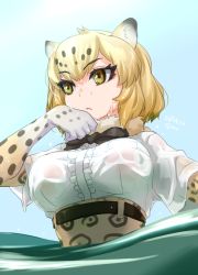 Rule 34 | 1girl, ajino (sakanahen), animal ears, black bow, black bowtie, blue sky, bow, bowtie, breasts, dated, day, fur collar, half-closed eyes, jaguar (kemono friends), jaguar ears, jaguar print, kemono friends, large breasts, looking to the side, outdoors, partially submerged, see-through, short hair, short sleeves, sky, solo, upper body, wet, wet clothes, yellow eyes