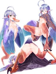 Rule 34 | 1girl, ahoge, ass, bird legs, blue feathers, blue hair, bottomless, breasts, brown feathers, censored, cum, cum in pussy, cum on body, cumdrip, disembodied penis, facial, feathers, fellatio, harpy, highres, huge ahoge, kawasumi (tk2k jade), monster girl, mosaic censoring, nipples, one eye closed, open mouth, oral, original, penis, pointy ears, pussy, sex, simple background, small breasts, top-down bottom-up, vaginal, white background, winged arms, wings