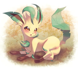 Rule 34 | 1girl, ass, blush, border, brown background, brown eyes, cleft of venus, creatures (company), female focus, full body, furry, furry female, game freak, gen 4 pokemon, highres, leaf, leafeon, looking up, lying, maki (letusgomaki), nintendo, no humans, notched ear, on side, open mouth, outside border, pokemon, pokemon (creature), pussy, solo, uncensored, white border